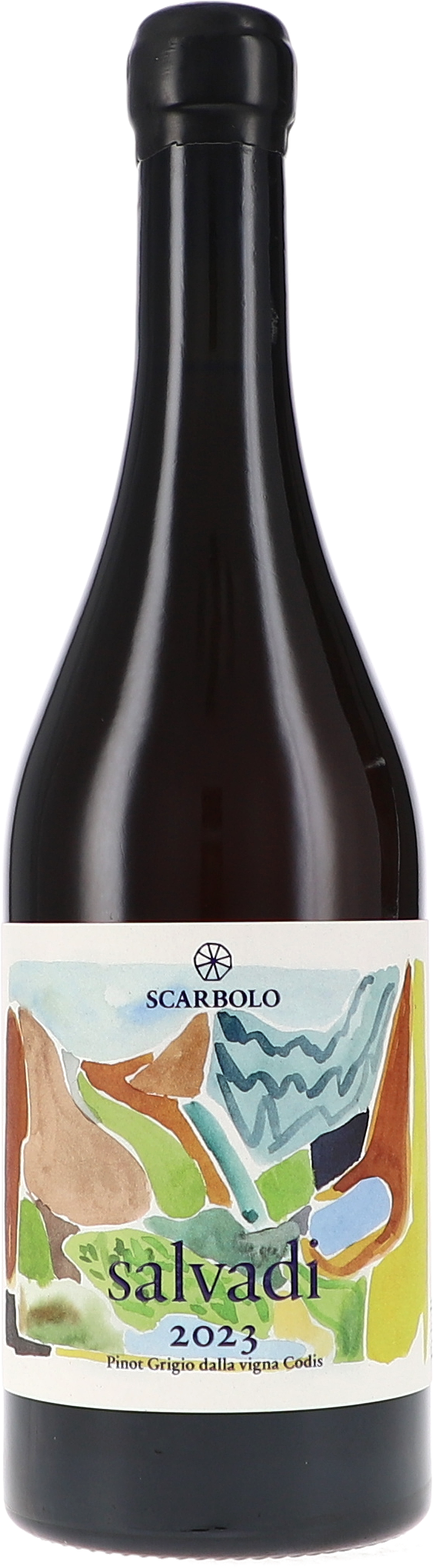Pinot Grigio "Salvadi" DOC