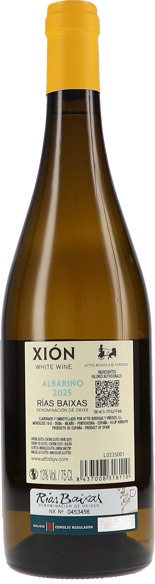 Xión
