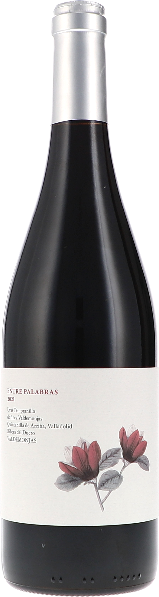 Entre Palabras - Between Words