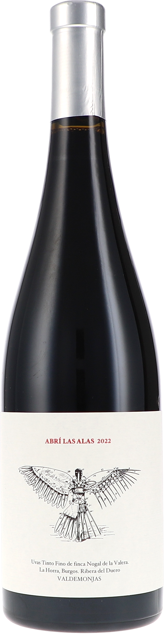 Abrí Las Alas - I Opened My Wings