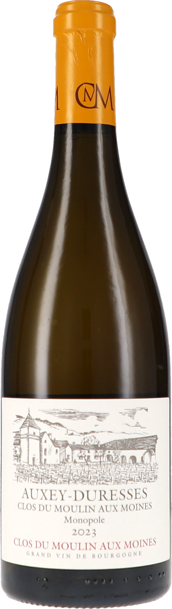 Weinflasche, Glasflasche, Rotwein, Burgunderwein, Jahrgang 2023