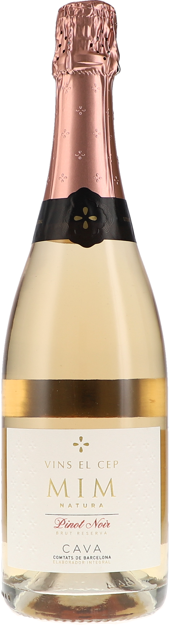 Flasche, Alkohol, Getränk, Weinflasche, Bier