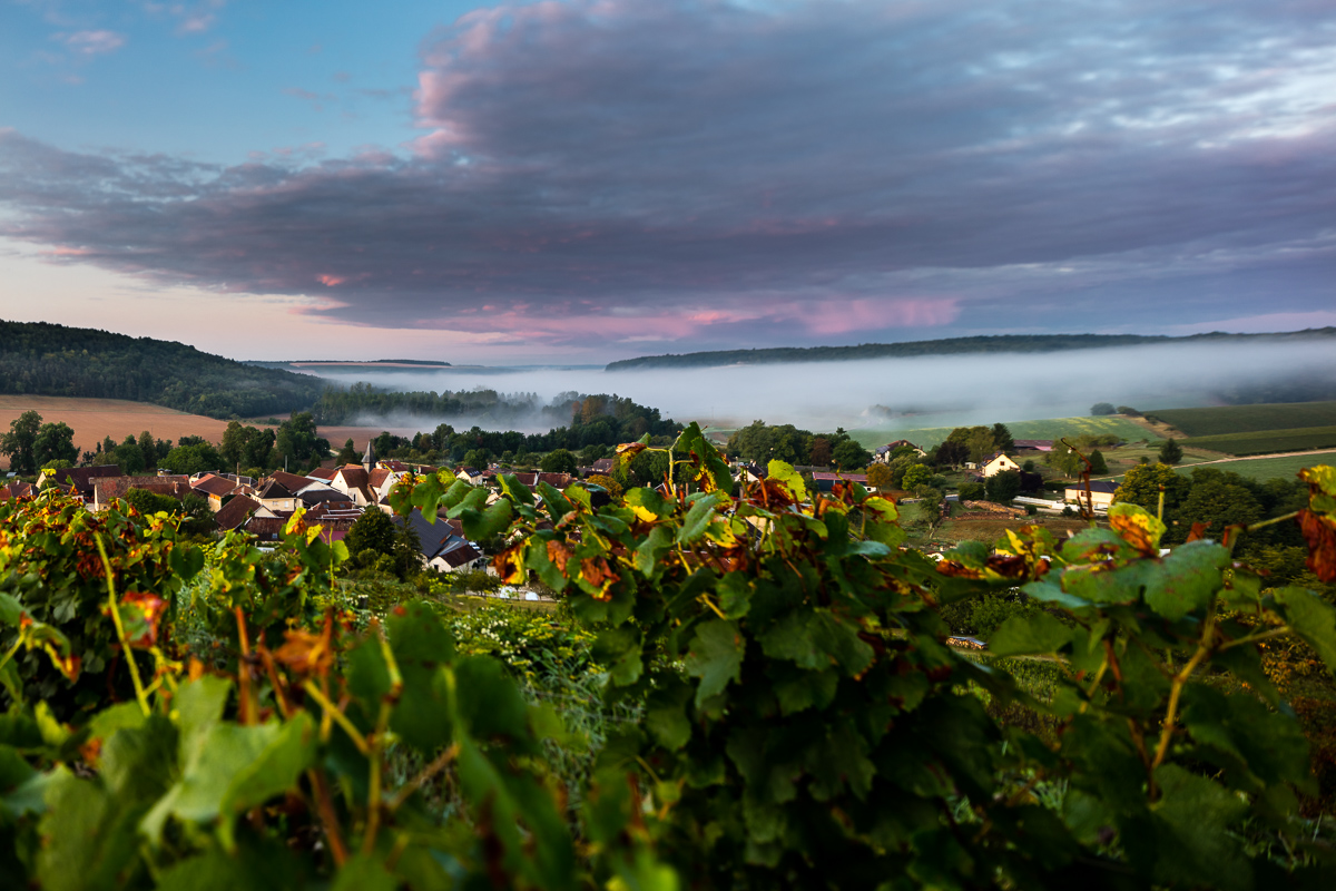 Natur, Draußen, Auf dem Land, Ländlich, Bauernhof