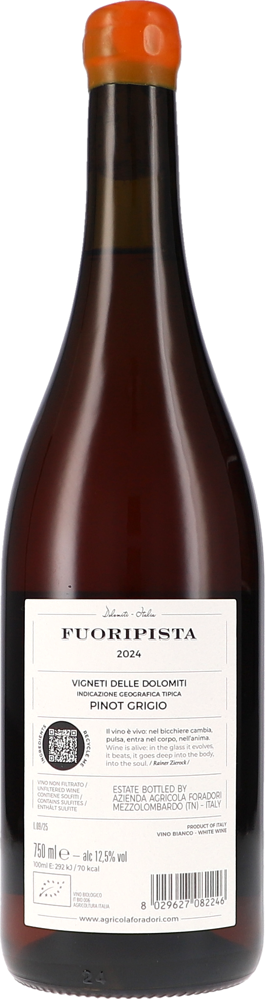 Alkohol, Bier, Getränk, Flasche, Schnaps