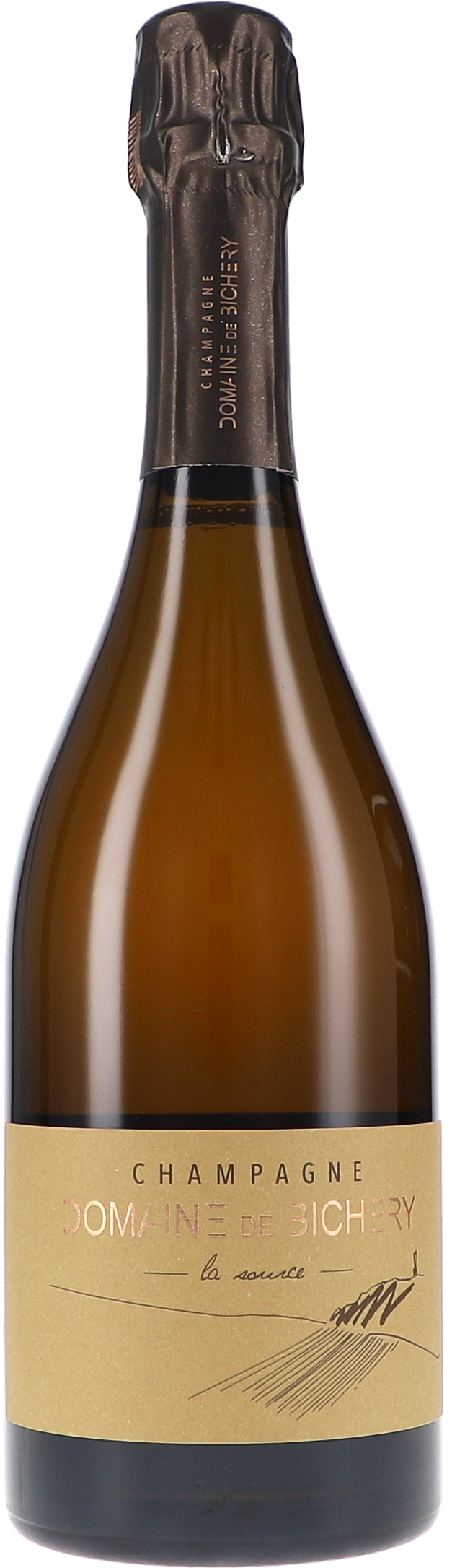 Champagne, Schaumwein, Flasche, Braune Flasche, Etikett Beige