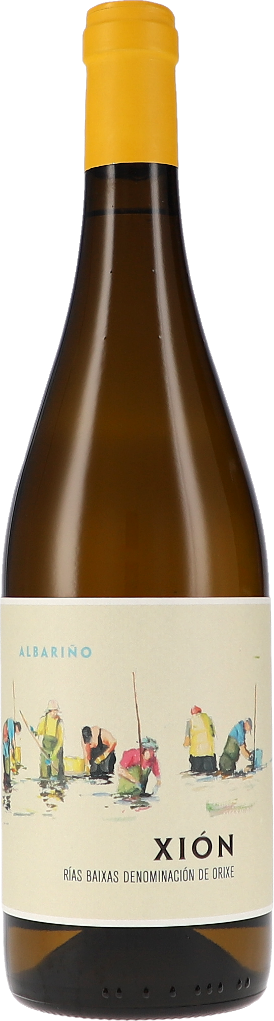 Xión Flasche, Alkohol, Schnaps, Weinflasche, Bier