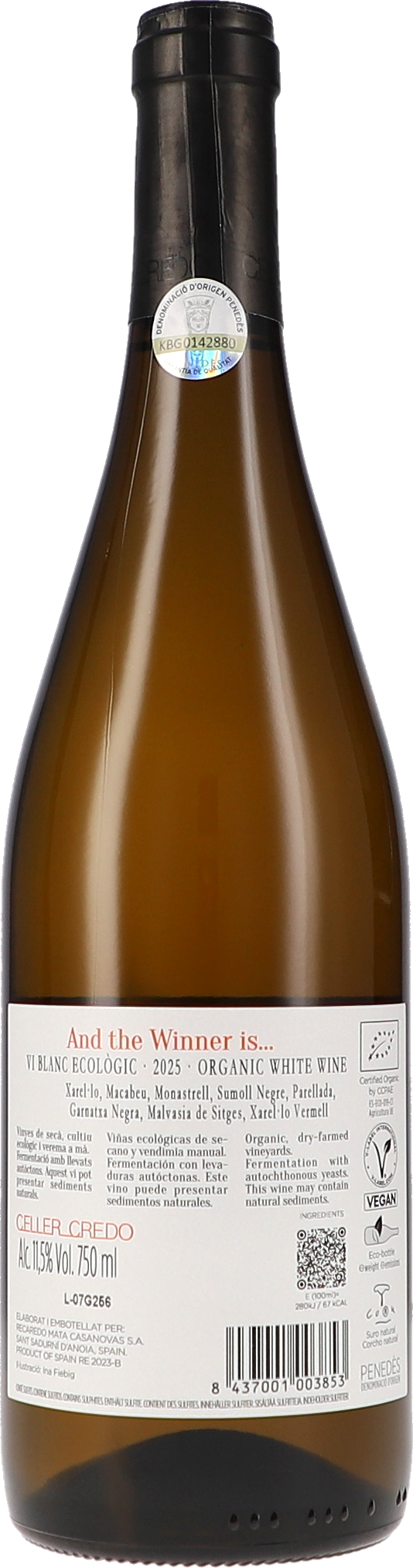 Weißwein, Bio-Wein, Jahrgang 2025, Spanischer Wein, Glasflasche