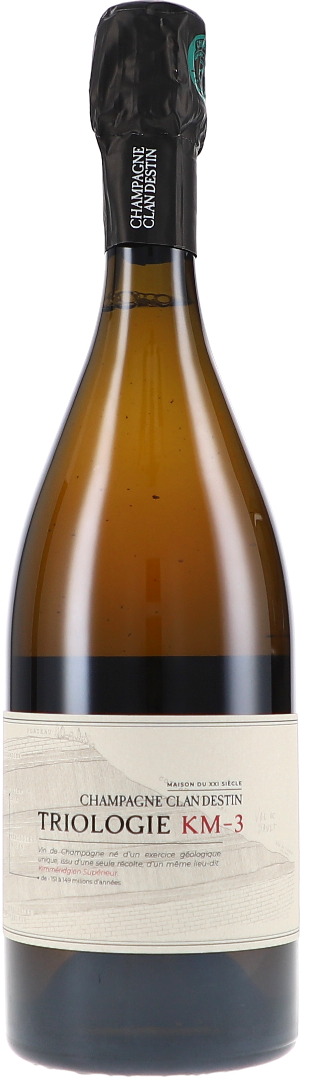 champagne, Flasche, Champagner, Sekt, Glasflasche