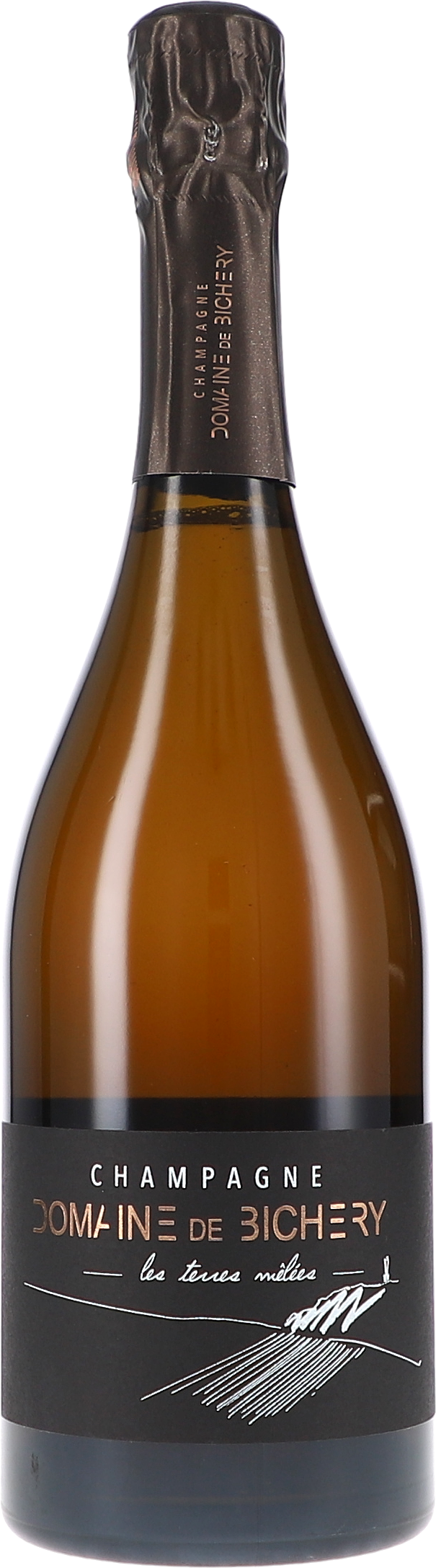 Champagne, Flasche, Schaumwein, Kapsel aus Folie, Etikettendesign