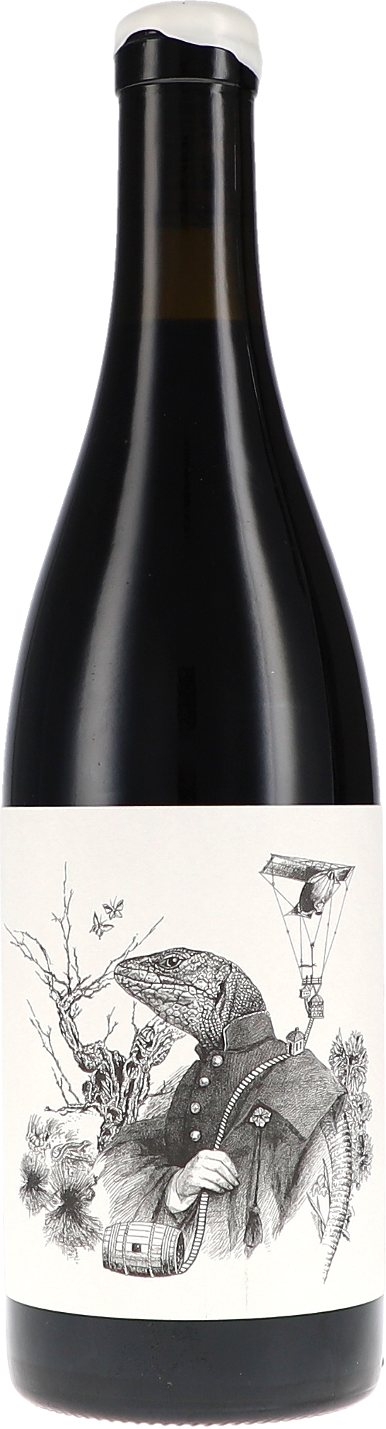 Alkohol, Bier, Getränk, Echse, Flasche