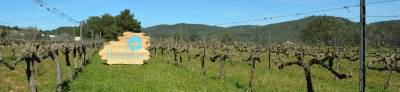 Ibizkus (Totem Wines)