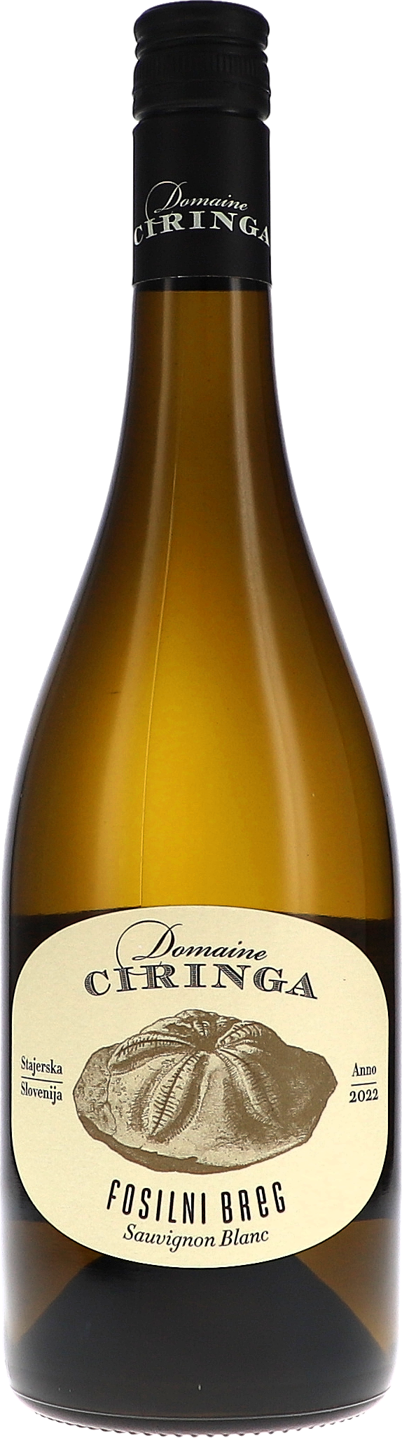 Ciringa, Fosilni Breg