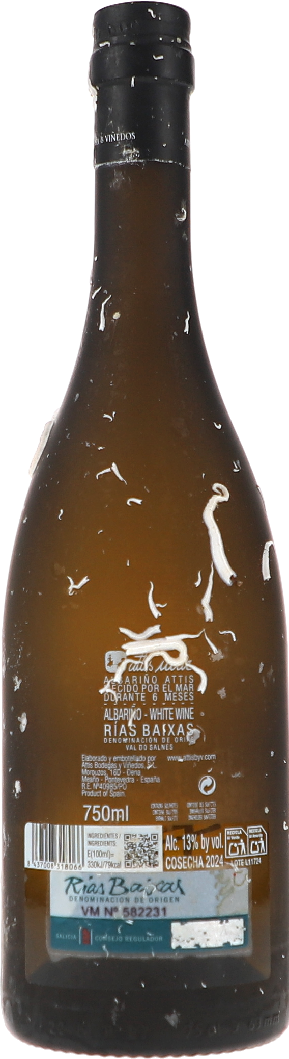 Attis Mar, gereift 9m unter Wasser im Galizischen Meer