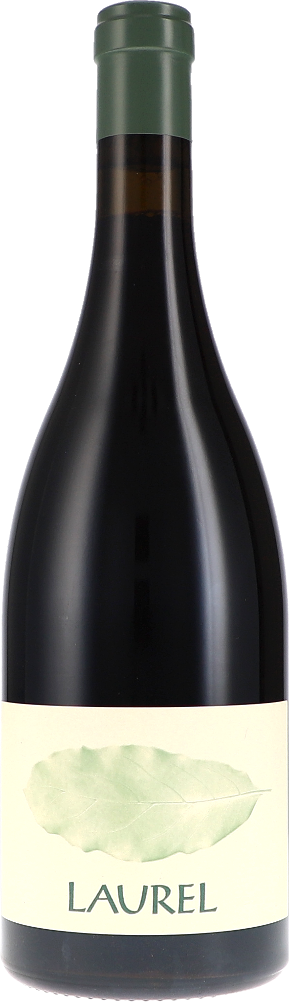 Laurel