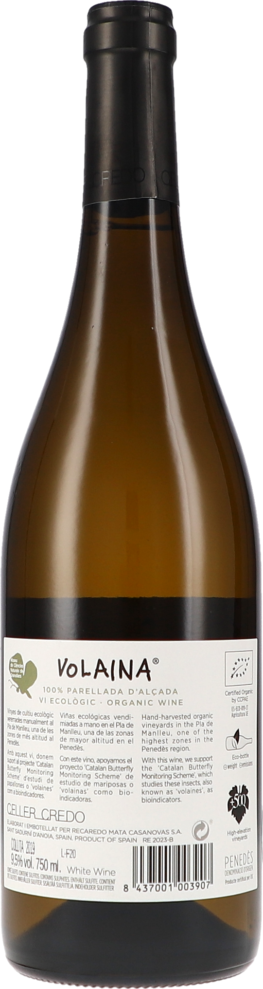 Alkohol, Getränk, Flasche, Bier, Schnaps