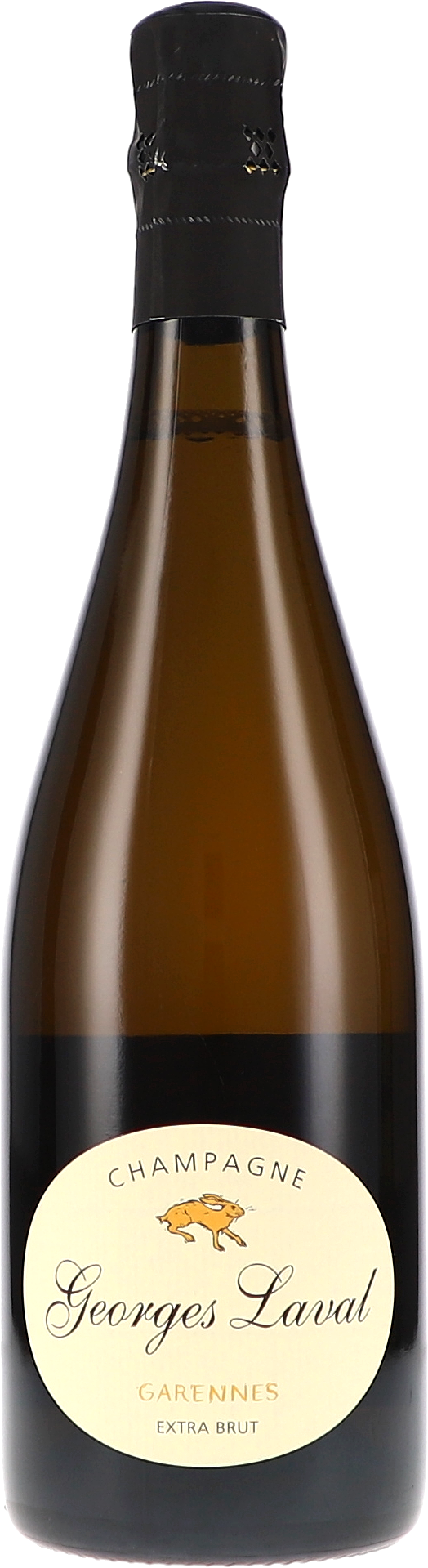 Garennes Extra Brut 13-23, LG23 Flasche, Alkohol, Schnaps, Weinflasche, Bier