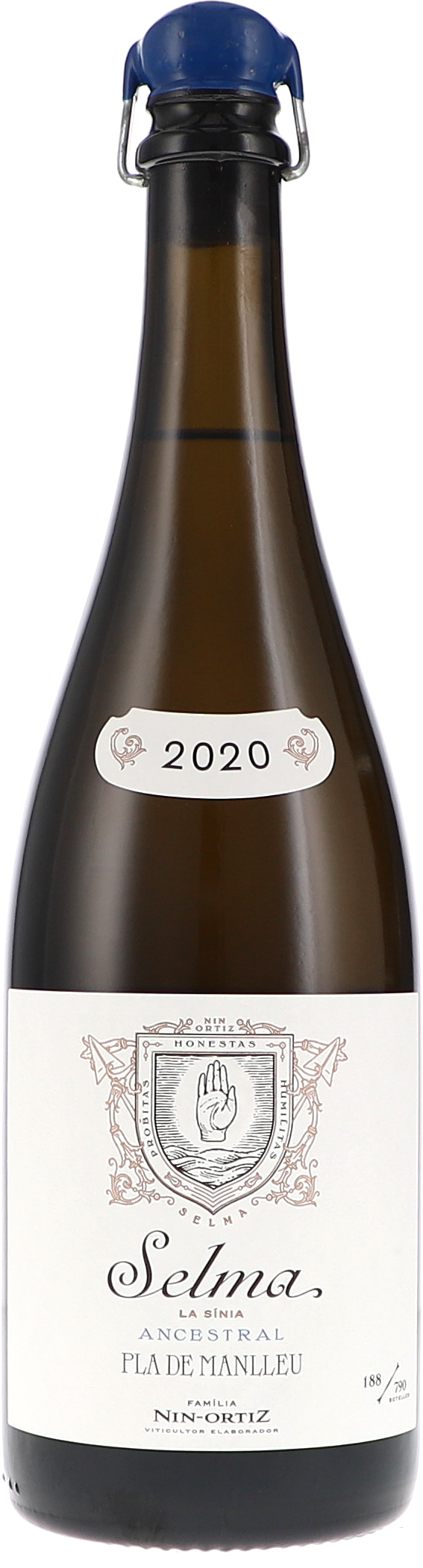 champagne, Flasche, Schaumwein, Glasflasche, Etikett