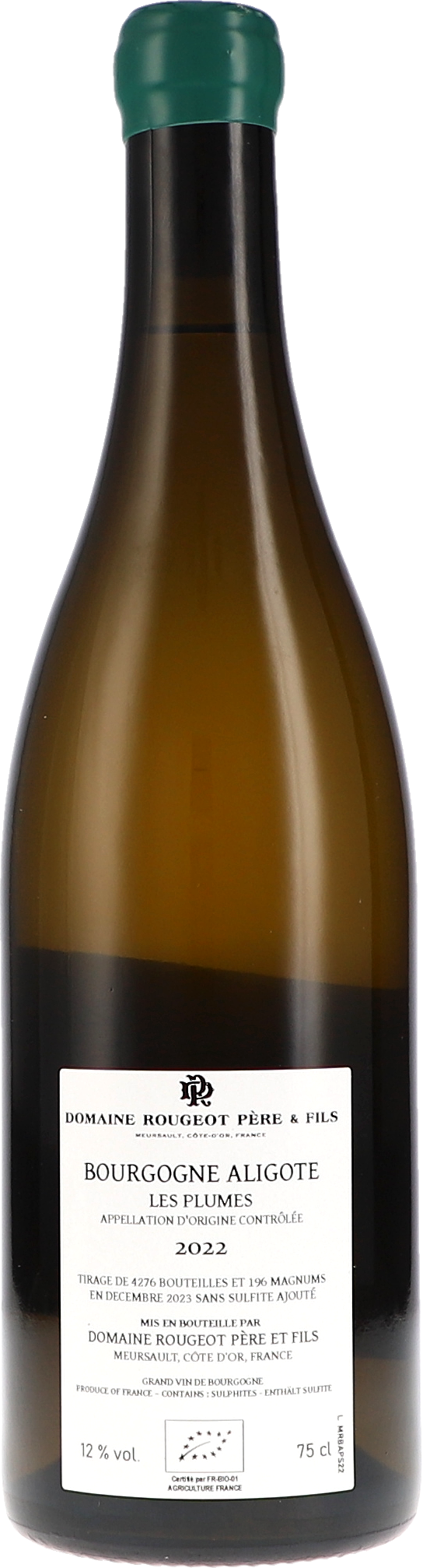 Flasche, Alkohol, Bier, Getränk, Schnaps