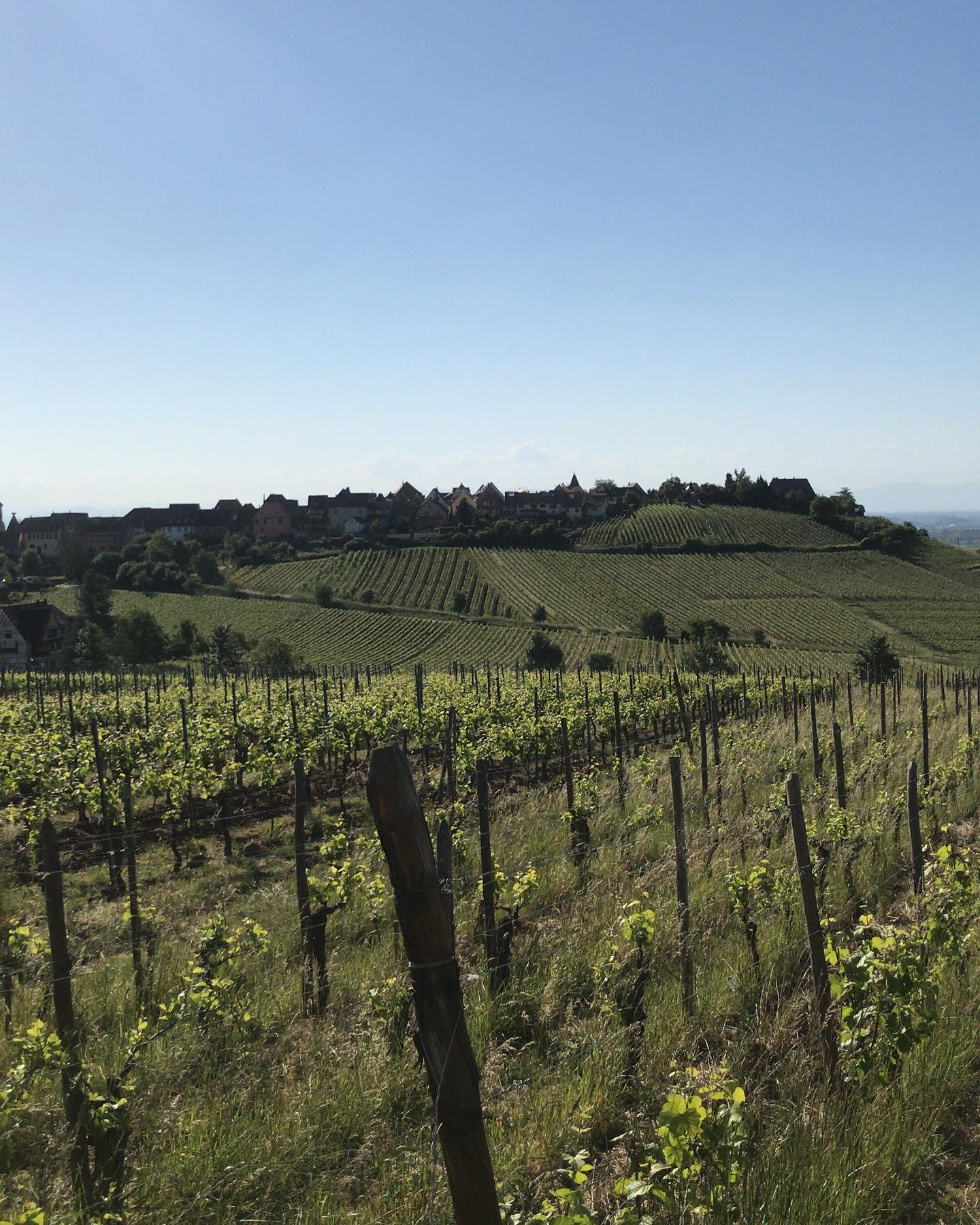 Natur, Draußen, Auf dem Land, Ländlich, Bauernhof