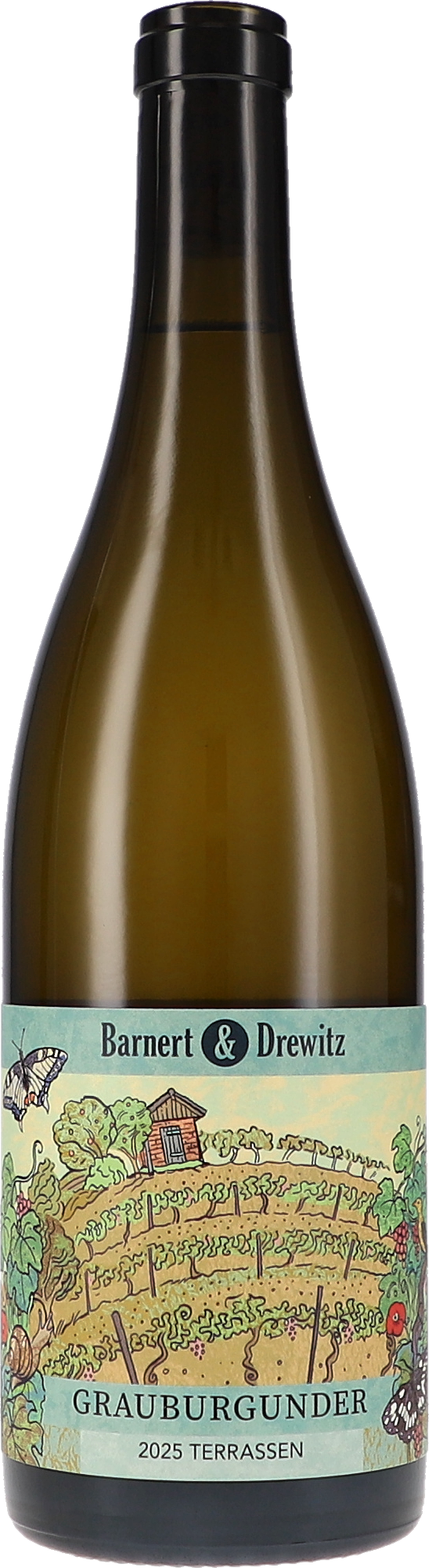 Grauburgunder Terrassen Weinflasche, Grauburgunder, Weißwein, Glasflasche, illustriertes Etikett