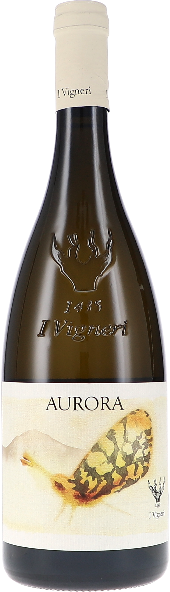 Aurora Bianco Caselle DOC Alkohol, Getränk, Flasche, Schnaps, Weinflasche