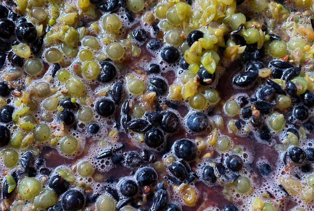 Beere, Blaubeere, Obst, Produzieren, Trauben