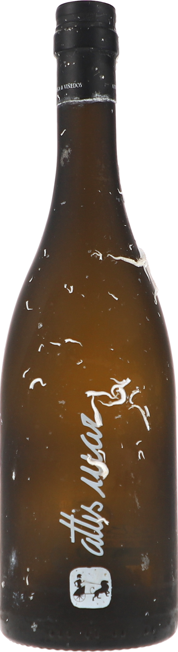 Attis Mar, gereift 9m unter Wasser im Galizischen Meer Alkohol, Bier, Getränk, Flasche, Bier-Flasche