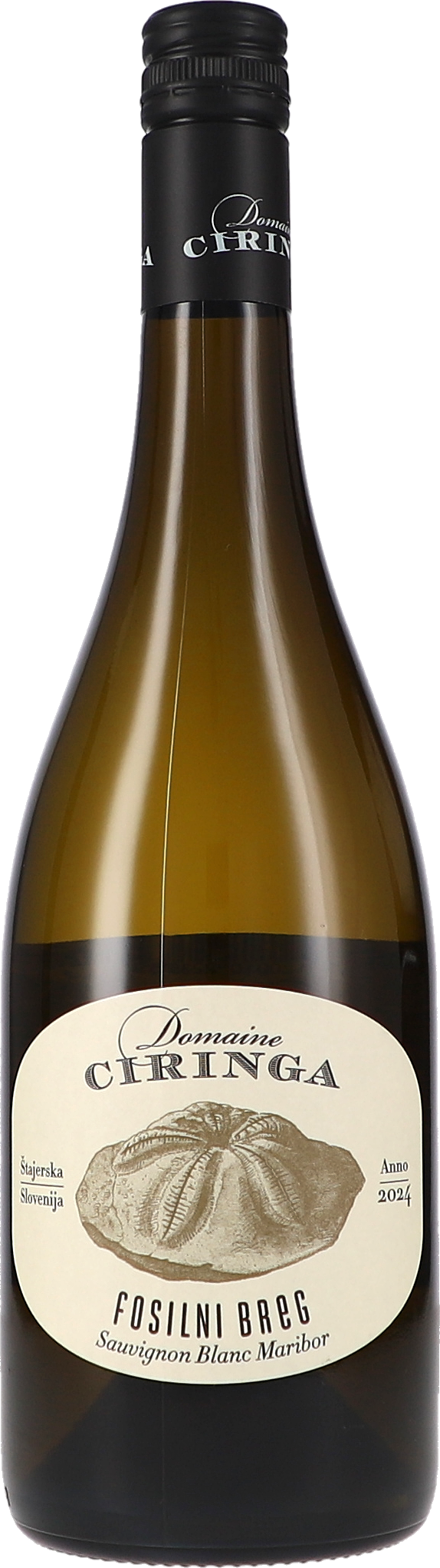 Ciringa, Fosilni Breg Weißwein, Sauvignon Blanc, Maribor, Fossilnt?, Flasche