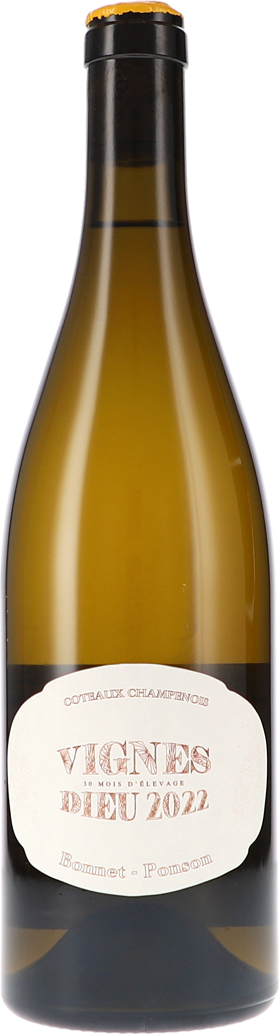 Flasche, Alkohol, Schnaps, Weinflasche, Bier