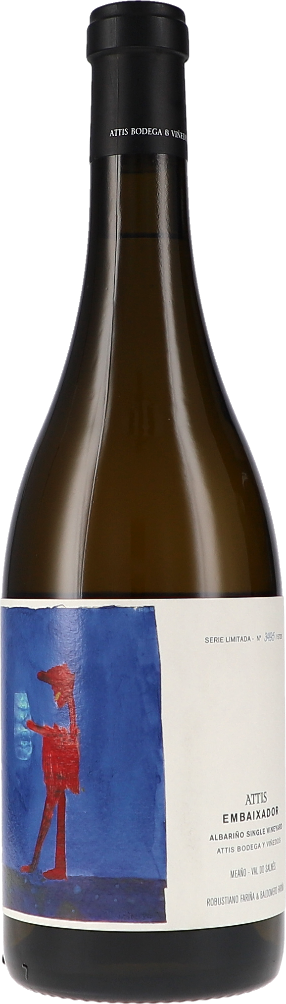 Embaixador Alkohol, Bier, Getränk, Flasche, Weinflasche