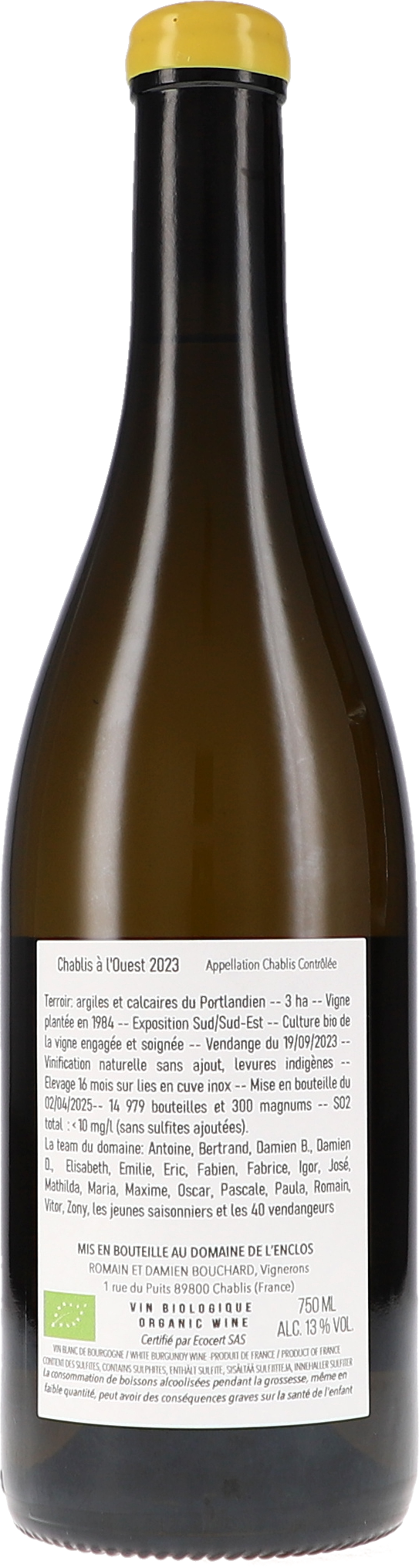 Alkohol, Bier, Getränk, Flasche, Schnaps