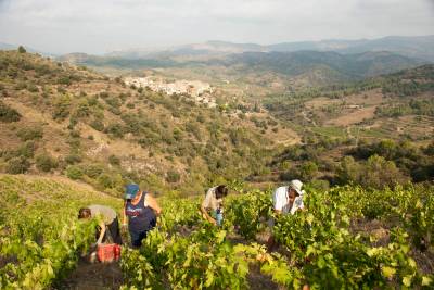 Terroir al Limit