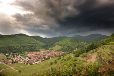 Domaine Weinbach