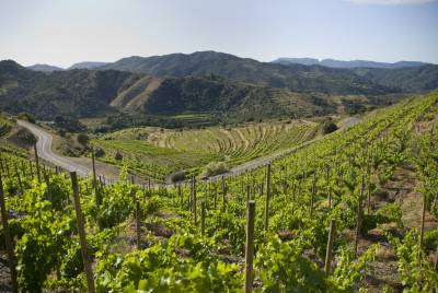 Trossos del Priorat