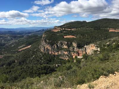 Terroir Sense Fronteres