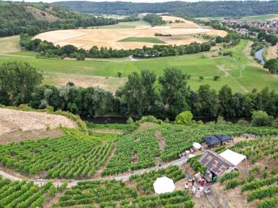 Roterfaden